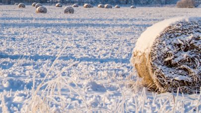 Vinterbilde aker Shutterstock