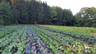 KAL prestegardshagene