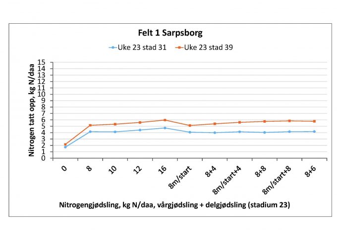 Uke 24 felt 1