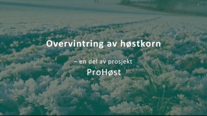 Skjermbilde 2026 02 13 151405