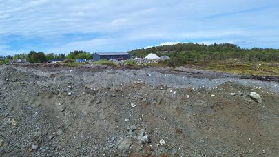 Dyrkingsfelt